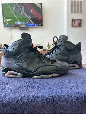 Jordan 6 All Star Chameleon Sz 11